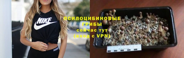 прущий лед Михайловск