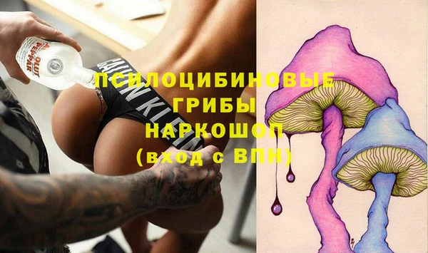 прущий лед Михайловск