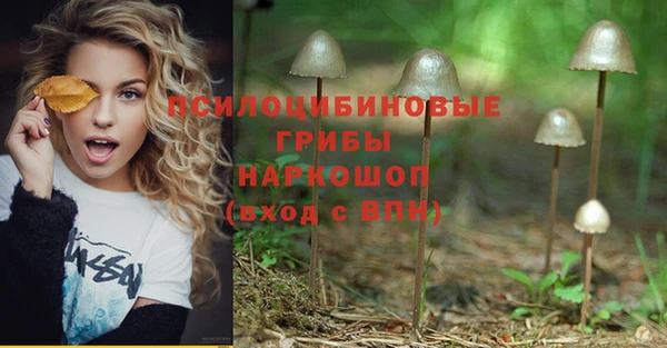 марки lsd Михайловка
